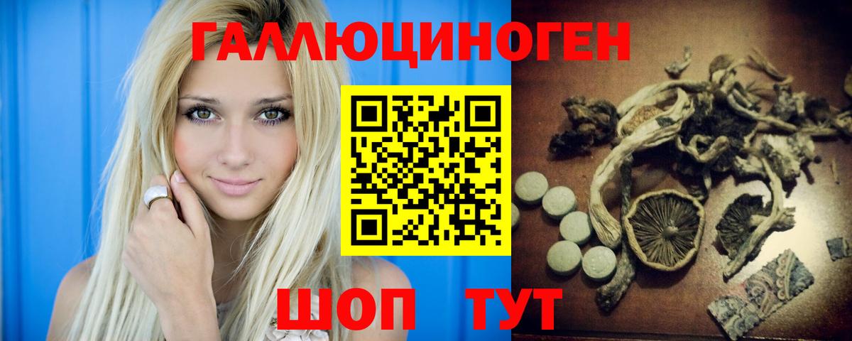 Псилоцибиновые грибы мухоморы  Вход с VPN  сколько стоит  Ногинск 